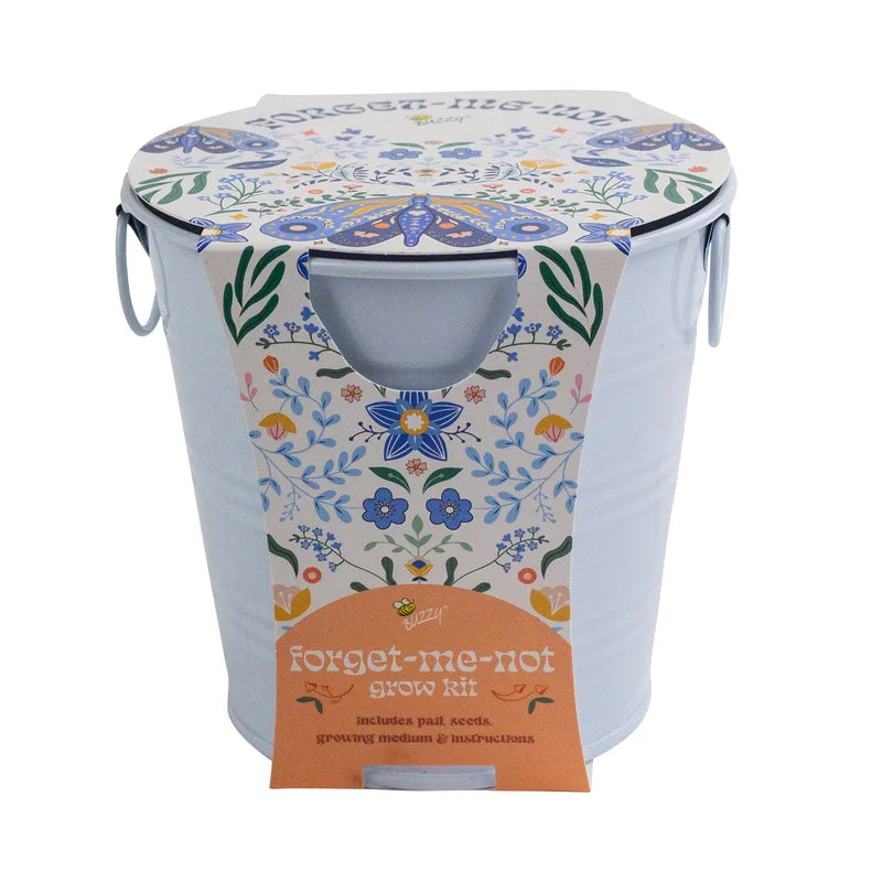 Buzzy-Painted Flower Grow Pail – Forget-Me-Not