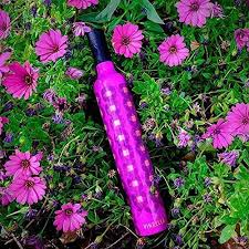 Vinrella- The Umbrella in a Bottle, Morning Glory