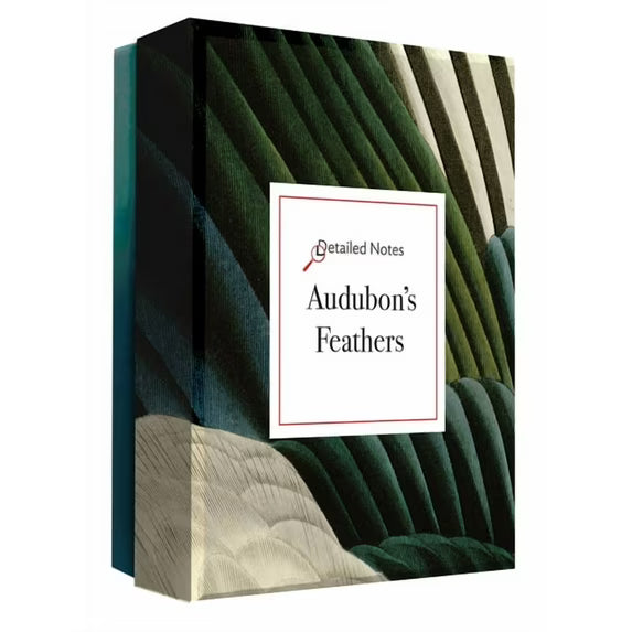 Audubon's Feathers Notecard Set