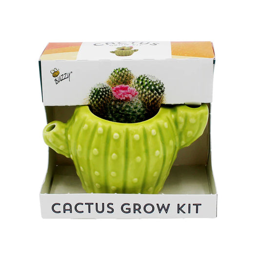 Buzzy-Mini Cactus Grow Kit
