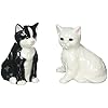 Black and White Cat Salt and Pepper Set