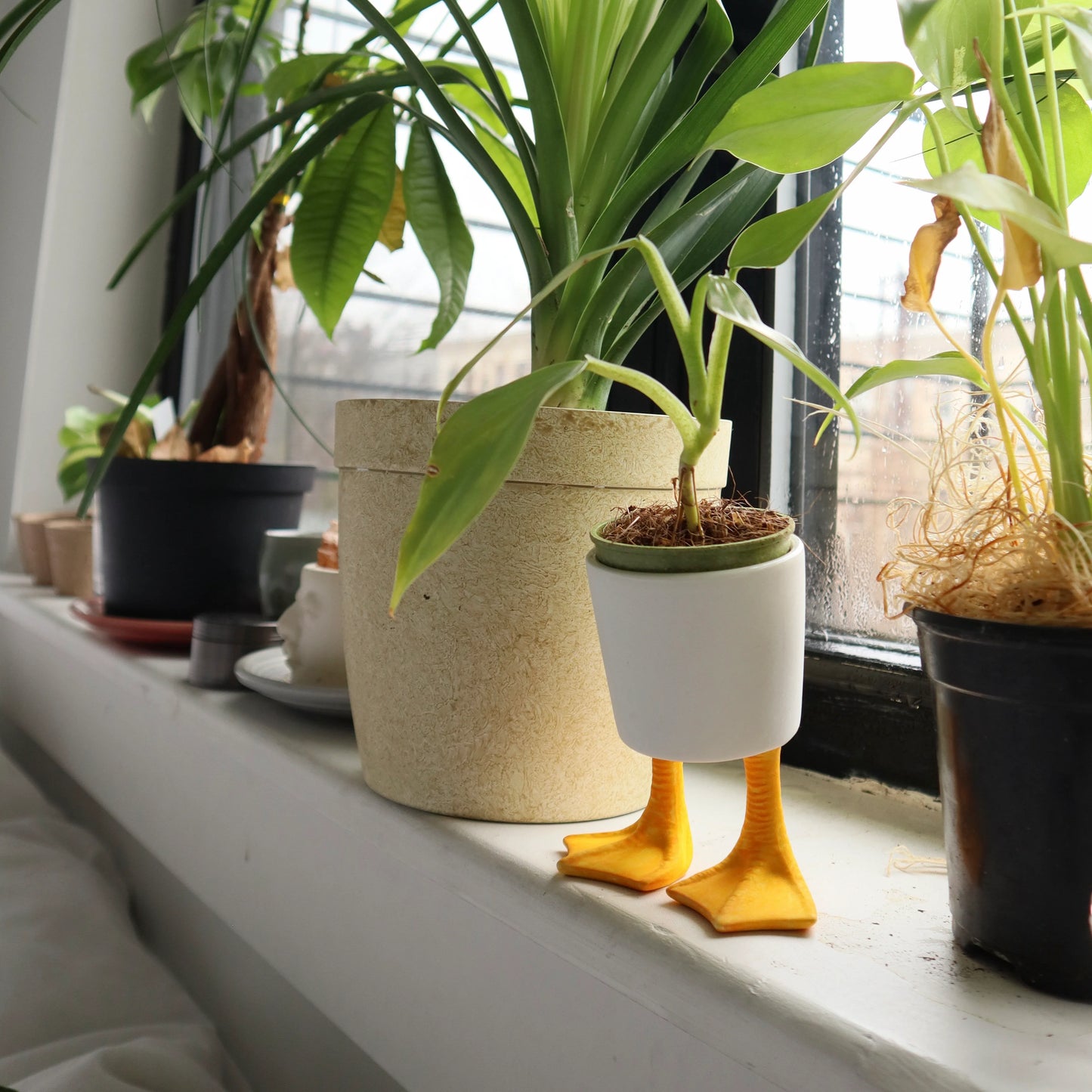 Small Duck Feet Planter -Kikkerland