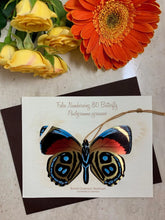 Load image into Gallery viewer, Numberwing Butterfly Ornament Notecard Gift
