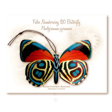 Load image into Gallery viewer, Numberwing Butterfly Ornament Notecard Gift
