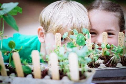 Grow Gardens