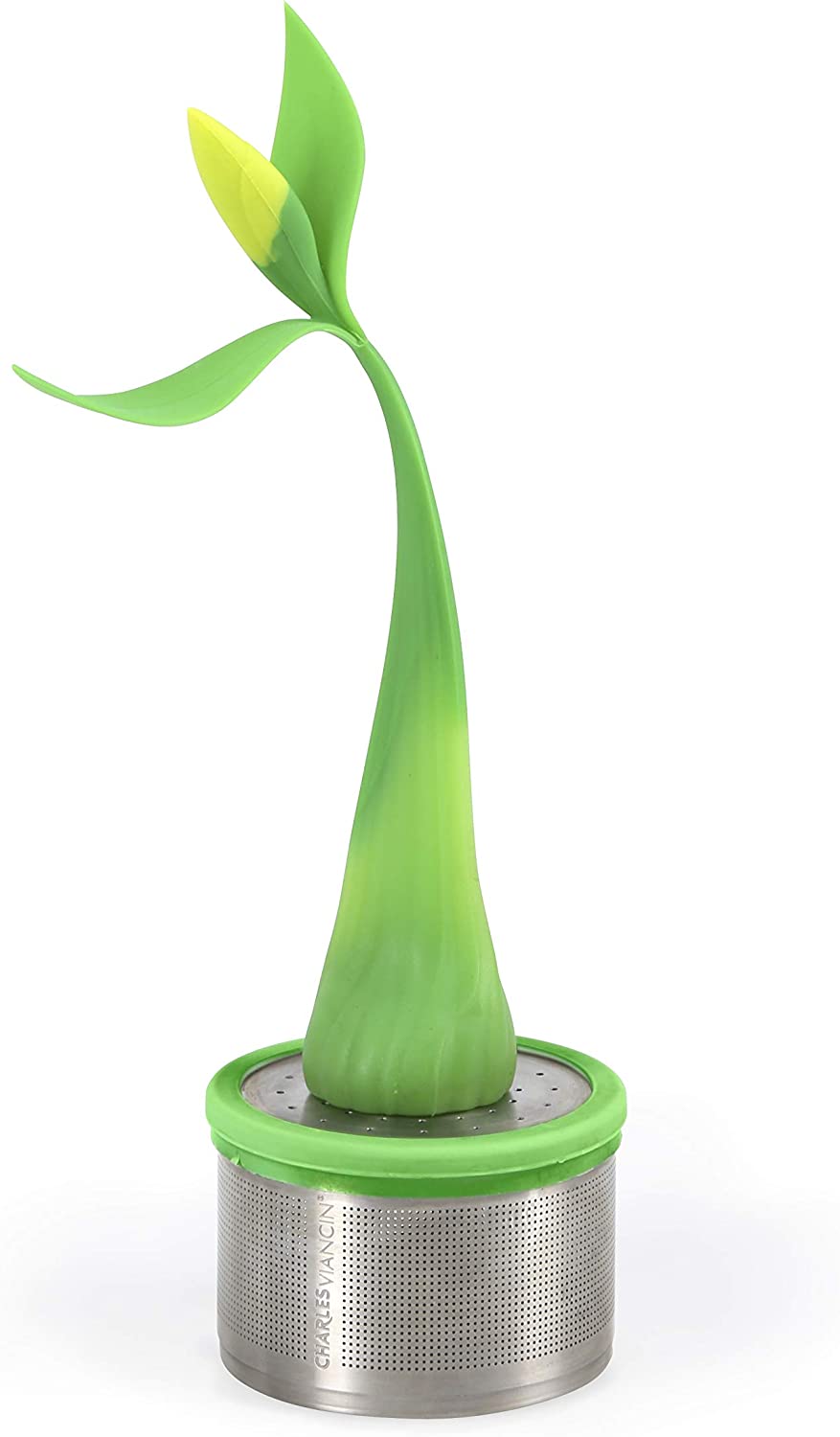 Camellia Tea Magnet + Infuser Set