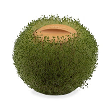 Load image into Gallery viewer, Green Orb Terracotta Planter
